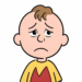 Frustration with the theme